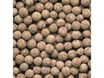 Plagron Euro Pebbles Hidrogolyók